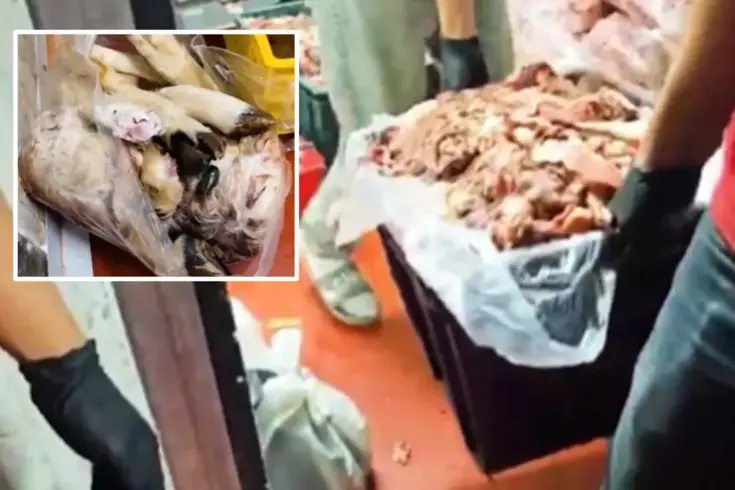 Başkentte mide bulandıran skandal! Hepsini halka yedireceklerdi