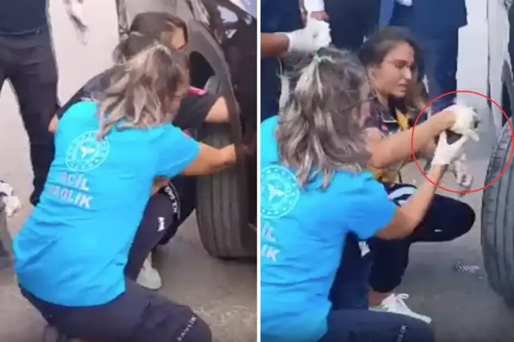 Bakan Yılmaz Tunç'un konvoyundaki araca yavru kedi sıkıştı