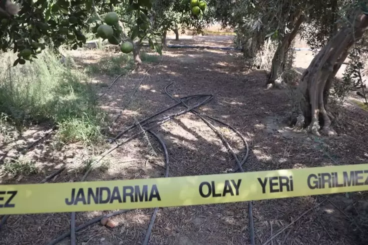 3 kuruş para için arkadaşını satırla katletti