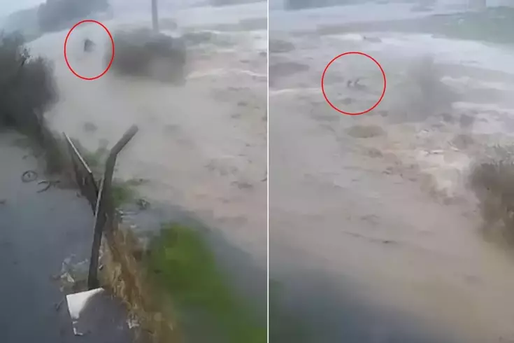 Sele kapılan Bülent Kaptanoğlu'nun son anları kamerada! Ne yapsa kurtulamadı