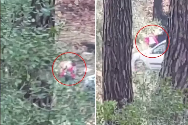 Görüntü İzmir'den! Sesleri duyup önce kayda aldı, sonra polisi aradı