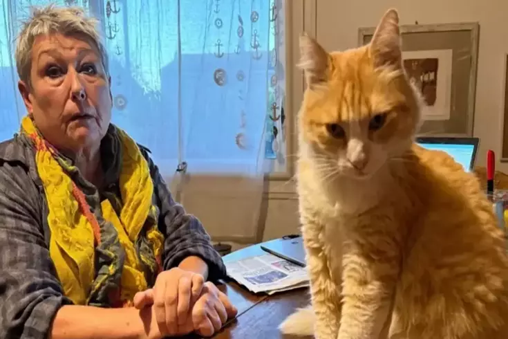 Dünyanın ilk mahpus kedisi! Komşusunu canından bezdirdi, hapsi yedi