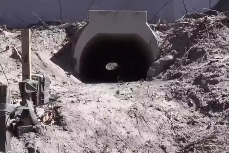 Kurbağaların rahatça çiftleşmesi için yapılan aşk tünelinde inşaat sona erdi