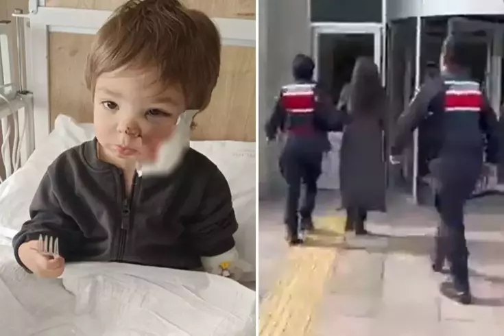 İki kardeşi yaralayan pitbullun sahibinden pişkin savunma