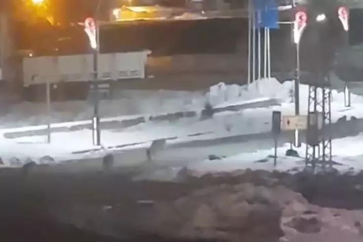 Kurtlar sokaklara indi, vatandaşlar korku dolu anlar yaşadı