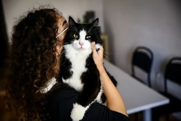 Bu tarihi kaçıran evcil hayvan sahipleri yandı! Katbekat fazlasını ödeyecekler