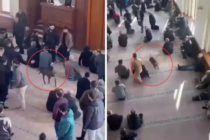 Pitbull bir anda içeriye girdi! Cami cemaati nereye uğradığını şaşırdı
