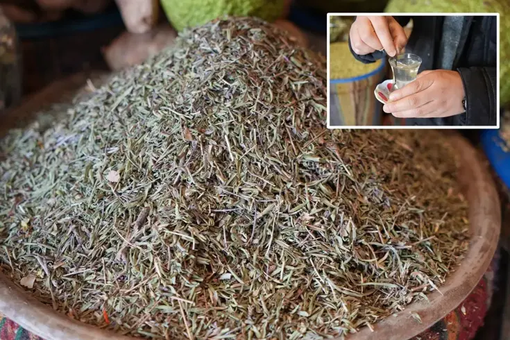 Bir tutamı yetiyor, tüm hastalıkları gelmeden geri gönderiyor