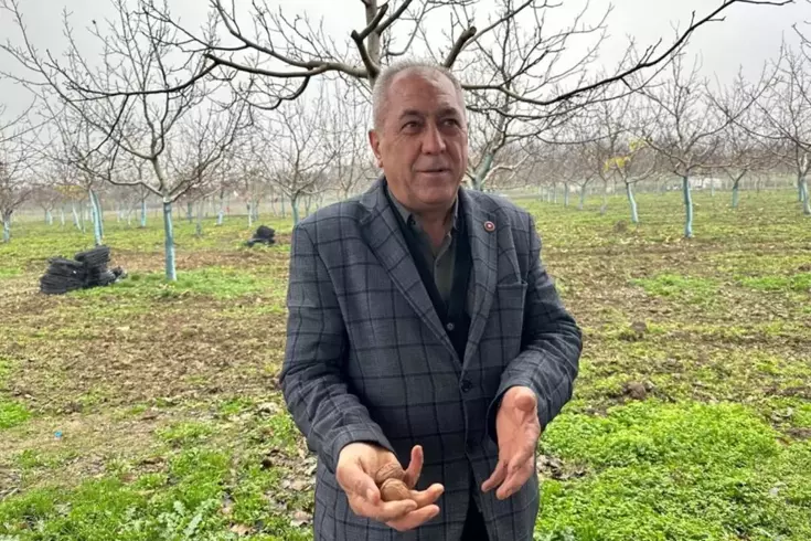 Bir köyü zengin eden ürün! Doktorlar, iş insanları buraya akın ediyor