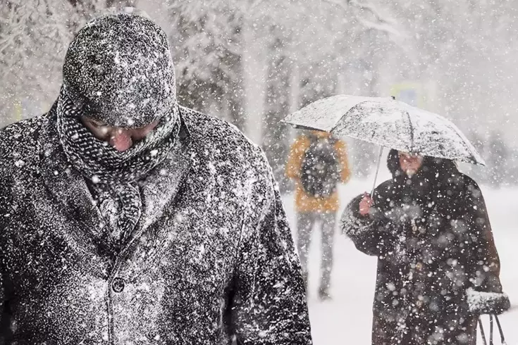 بدأت برودة الزمهرير! ستستولي على الوطن لمدة 40 يومًا.