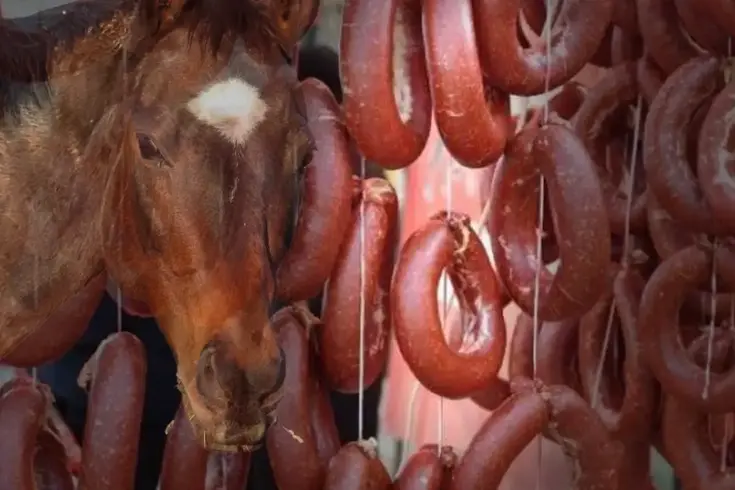 Vatandaşa at eti yedirmişler! Bakanlık, markayı da üretildiği ili de ifşa etti