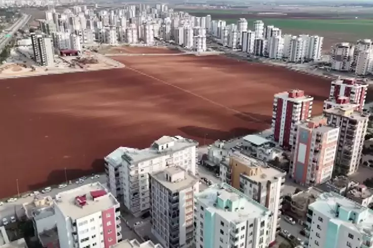 Everyone sold, but he resisted! Look at what he is doing in the middle of the concrete.