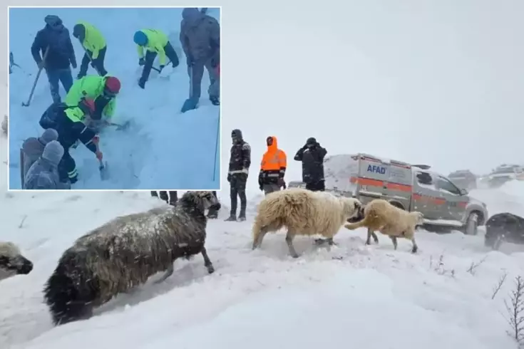 Sad news has come from the avalanche disaster in Artvin.