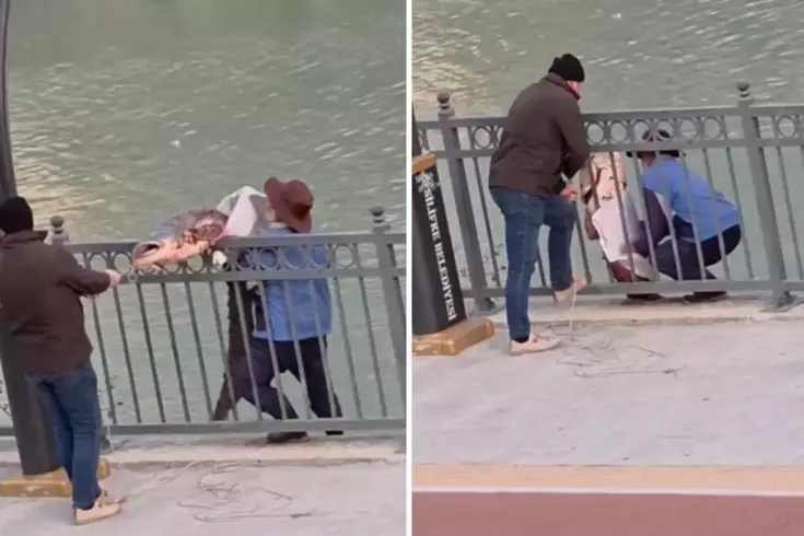 Olta ile nehirden 30 kiloluk balık tuttu