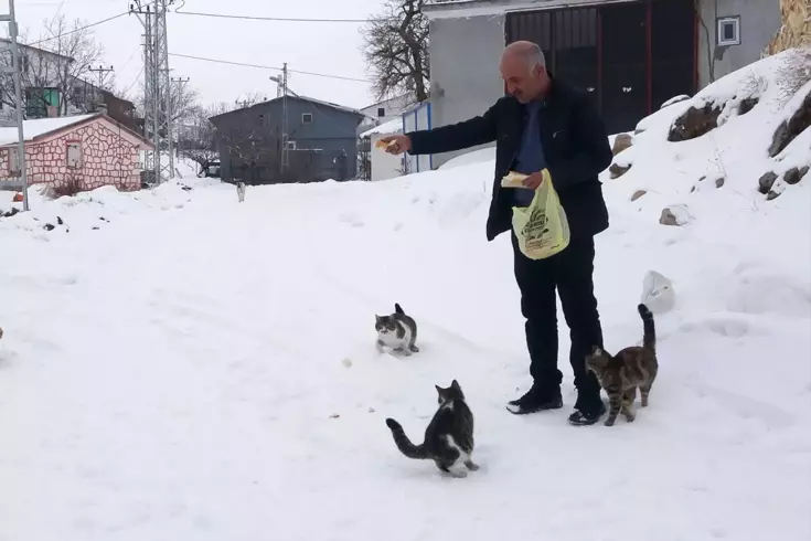 Bu köyde kışın sadece muhtar yaşıyor! Tek nedeni var