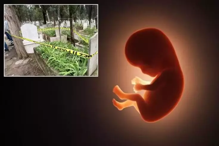 Mezarlıkta poşet içinde cenin bulundu