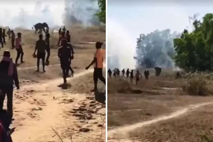 Kontrolden çıkan fil, 22 kişiyi öldürdü: Köylüler çatı ve ağaçlarda uyuyor