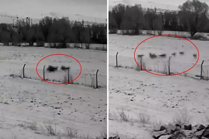 Görüntü Türkiye'den: Gündüz vakti baskın yaptılar, vatandaşlar korku içinde