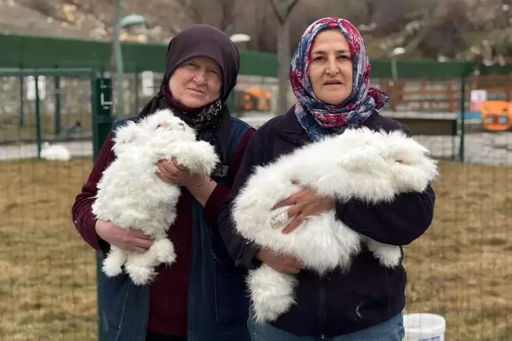 3 asır önce nesli tükenmişti! Yeniden anavatanında yetiştiriliyor