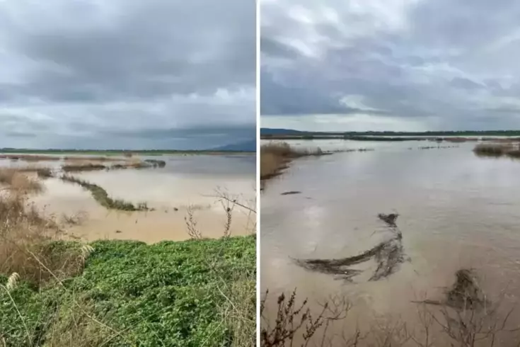 تدفقت النهر، وغمرت المياه السهول الحيوية للزراعة.