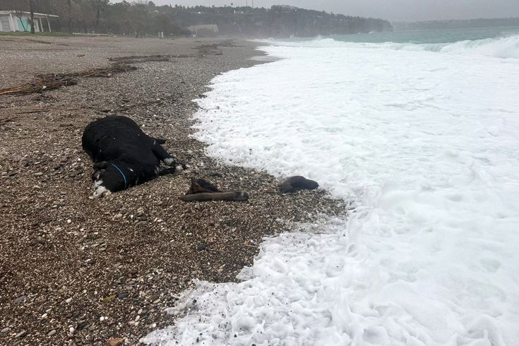 غمرت المدينة بالسيول، وضربت الأمواج الشهيرة على الشاطئ.