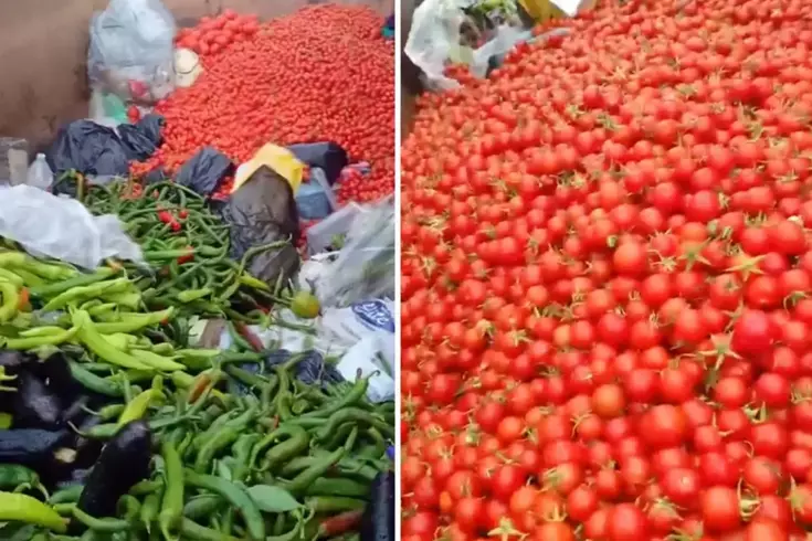 Они выбросили совершенно здоровые овощи.