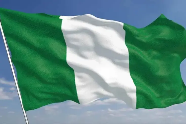 Nijerya'da maden sahasında zehirli gaz patlaması: 37 ölü