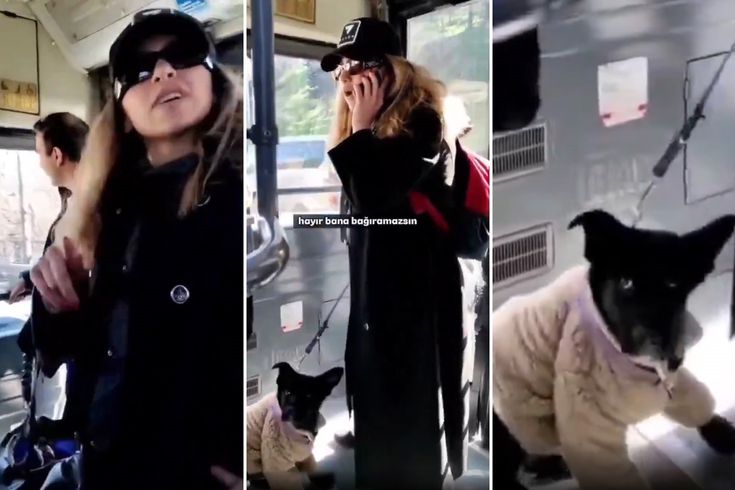 Savcıyım deyip terör estiren kadının asıl mesleği bakın ne çıktı