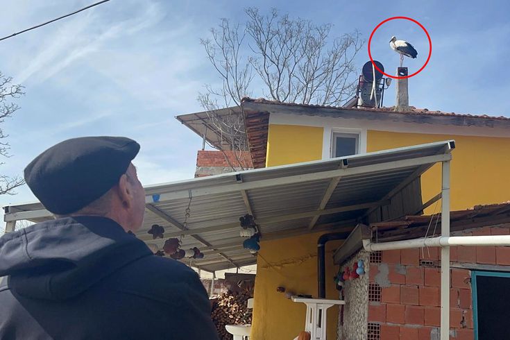 Eşi ilk kez bu kadar erken geldi, herkes dört gözle Yaren'i bekliyor