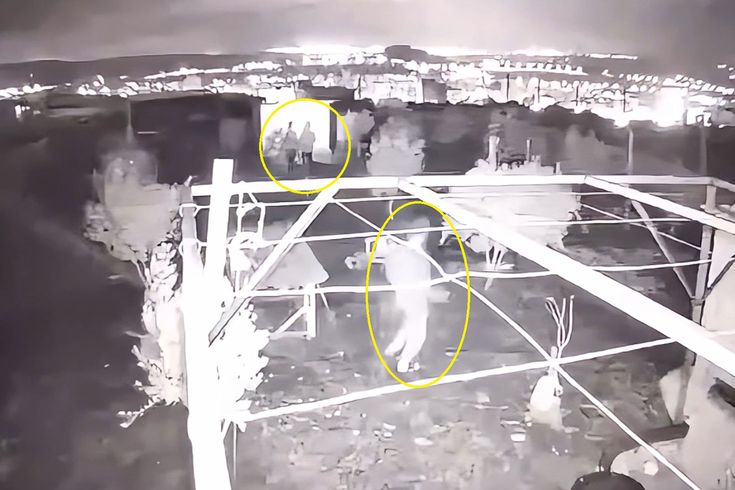 Hobi bahçesine giren 3 çocuk, 25 güvercini çalıp kaçtı