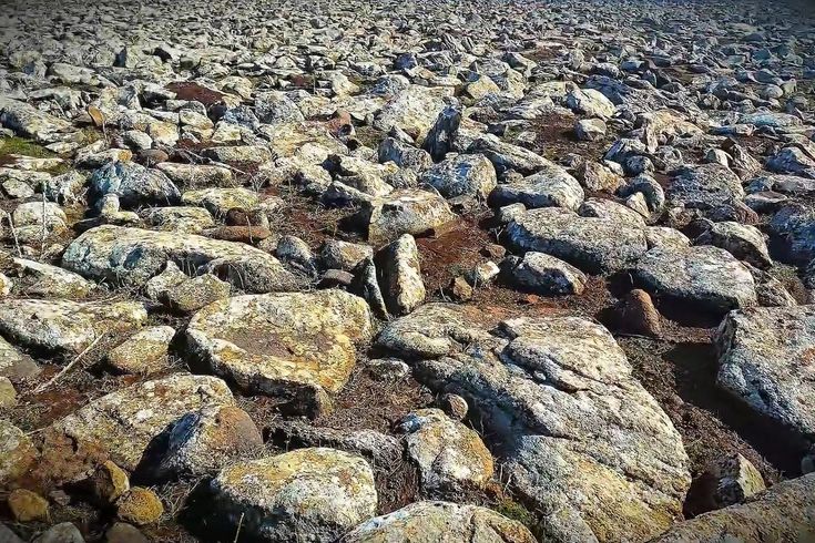 Şanlıurfa'da volkanik bazalt taşlarının altında cephanelik ele geçirildi: 8 gözaltı
