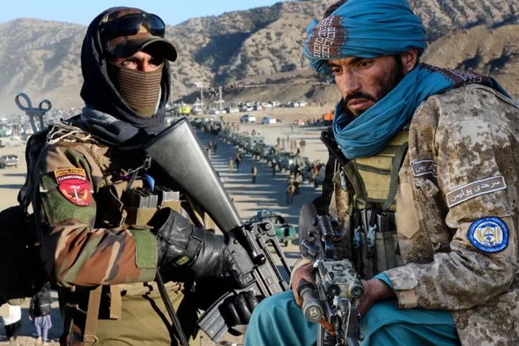 An olive branch from Afghanistan to Pakistan in the war that is unsettling the world.