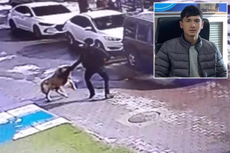 Daha 16 yaşındaydı! Köpekten kaçarken canından oldu