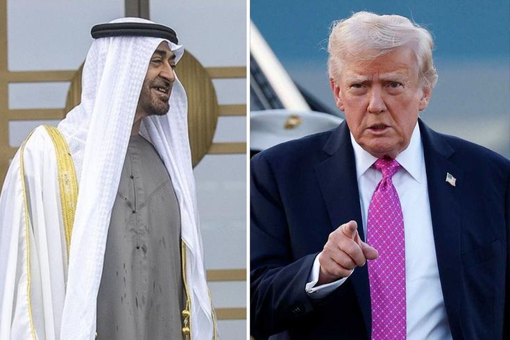 BAE Devlet Başkanı Bin Zayid, ABD Başkanı Trump'la görüştü