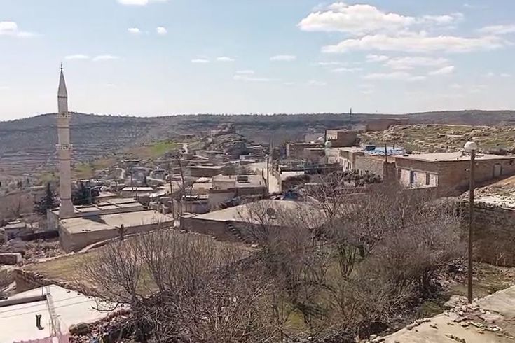 İnekteki kuduz şüphesi nedeniyle mahalle karantinaya alındı