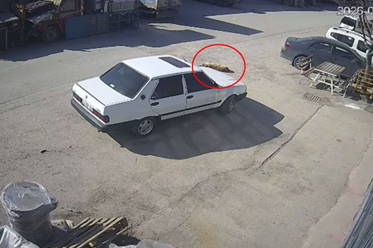 Allah ıslah etsin! Mübarek Ramazan günü kaydedilen görüntüye bakın