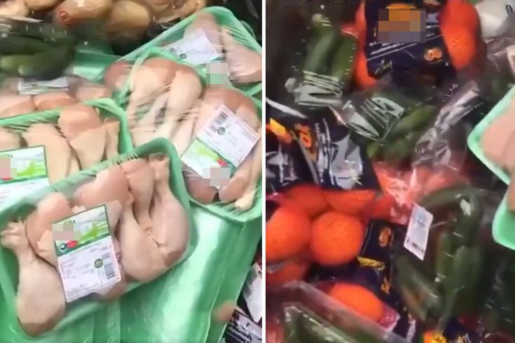 Paket paket tavuklar çöpe gitti
