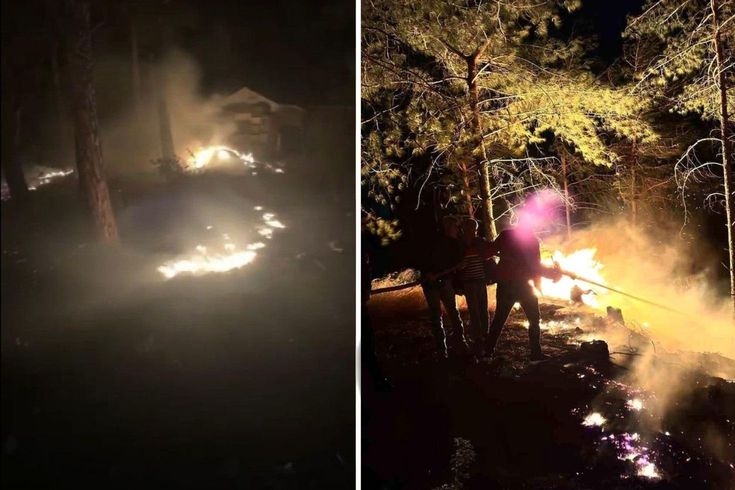 Hatay'da korkutan orman yangını