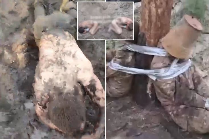 What have Putin's commanders done! Scandalous images from the Russian army.
