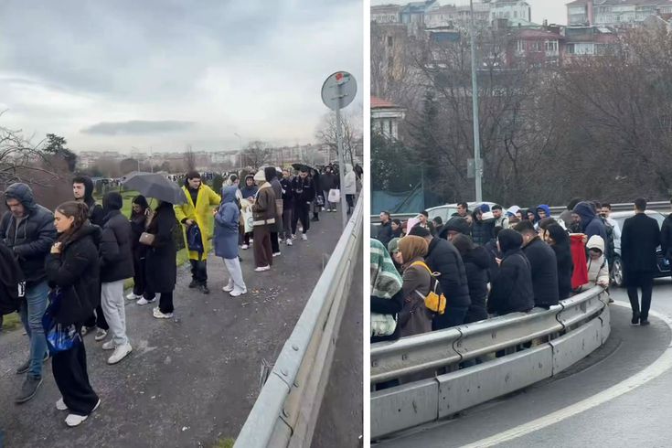 Они не обратили внимания на дождь и грязь! Вы не можете представить, что это за хвост.