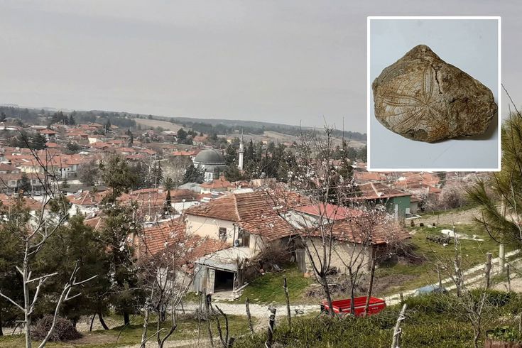Köyünde yürüyüş yaparken buldu! Milyonlarca yıllık