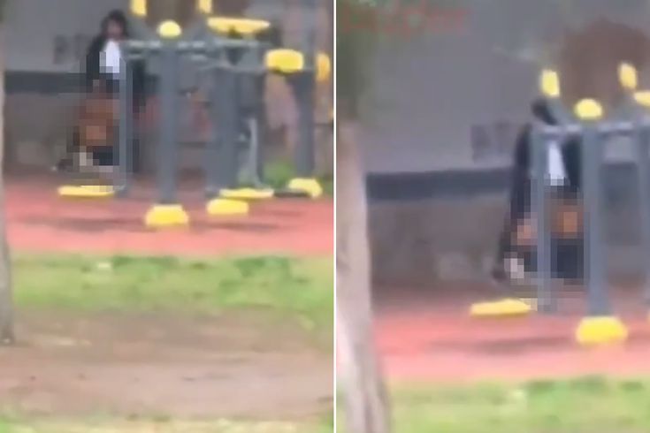 A shocking scene in the park in broad daylight.