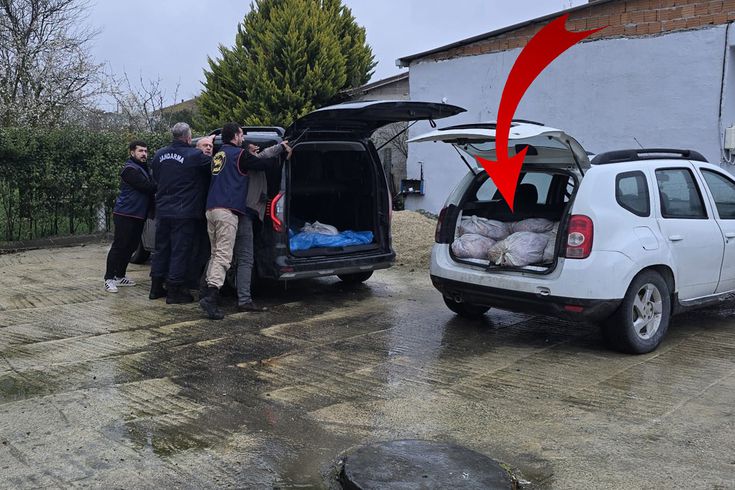 306 kilograms of marijuana ready for the market was seized in Silivri.