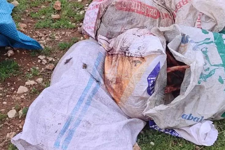 Şanlıurfa'da çuvallarda kesilmiş at başı bulundu