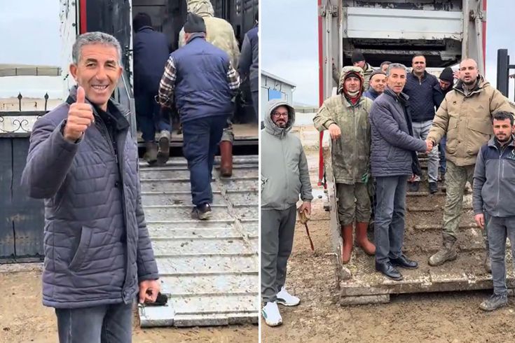 Koyun satın alırken Türkiye'de bir ilki gerçekleştirdi