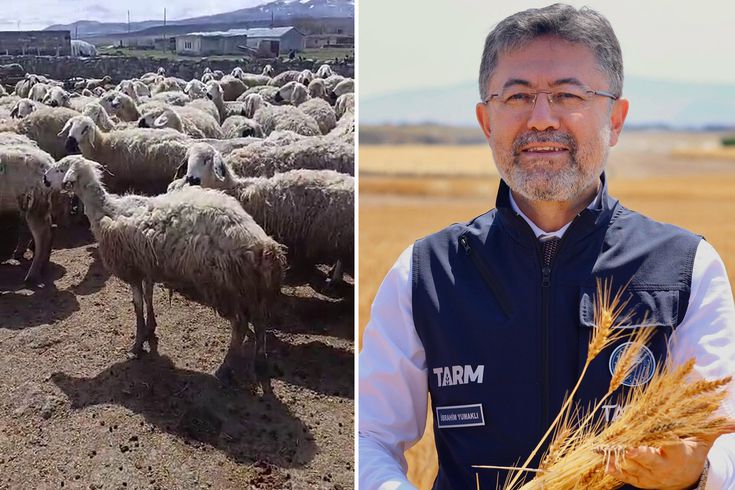 Bakan Yumaklı'nın Örnek üretici dediği çiftçi video çekip yardım istedi