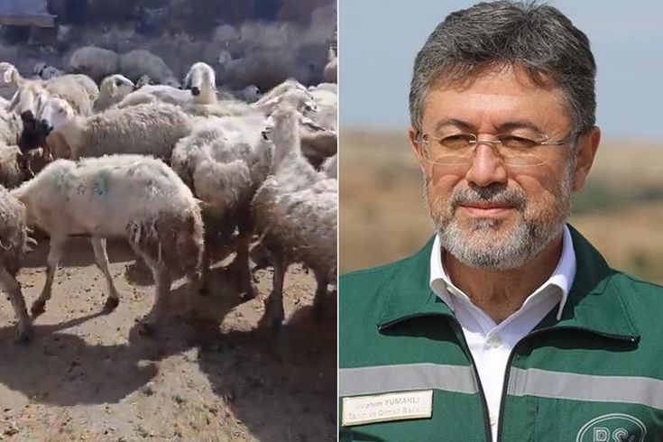 Örnek üreticiye bakanlıktan mera yanıtı