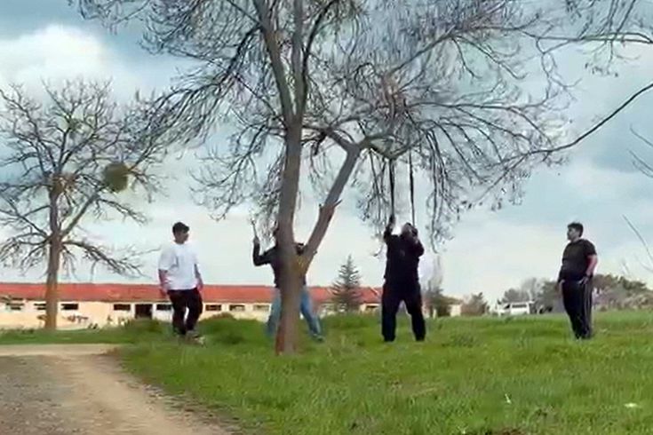 Eskişehir'de 'mangal için ağaç dalını kırmaya çalıştılar' iddiası
