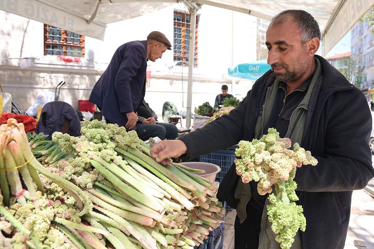Yılda bir kez çıkıyor, binbir derde şifa oluyor