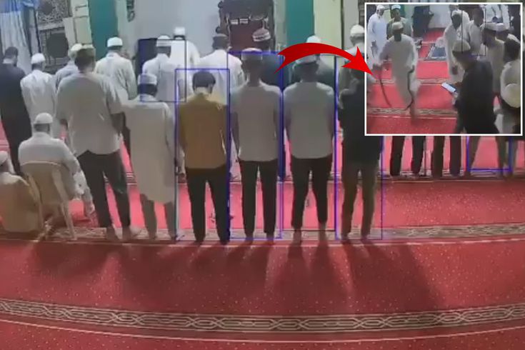 Hindistan'da camiye giren yılan paniğe neden oldu